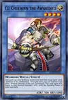Edison Rulings for Cu Chulainn the Awakened